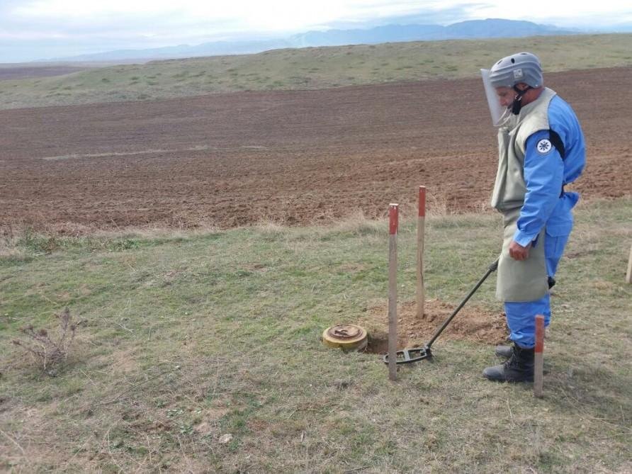 ANAMA: В Карабахе обнаружена еще 71 мина